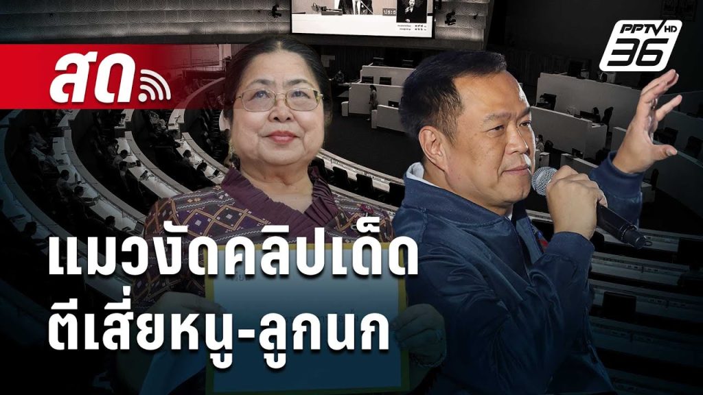 🔴 Live เข้มข่าวค่ำ | แมวงัดคลิปเด็ดตีเสี่ยหนู-ลูกนก | 20 พ.ค.68